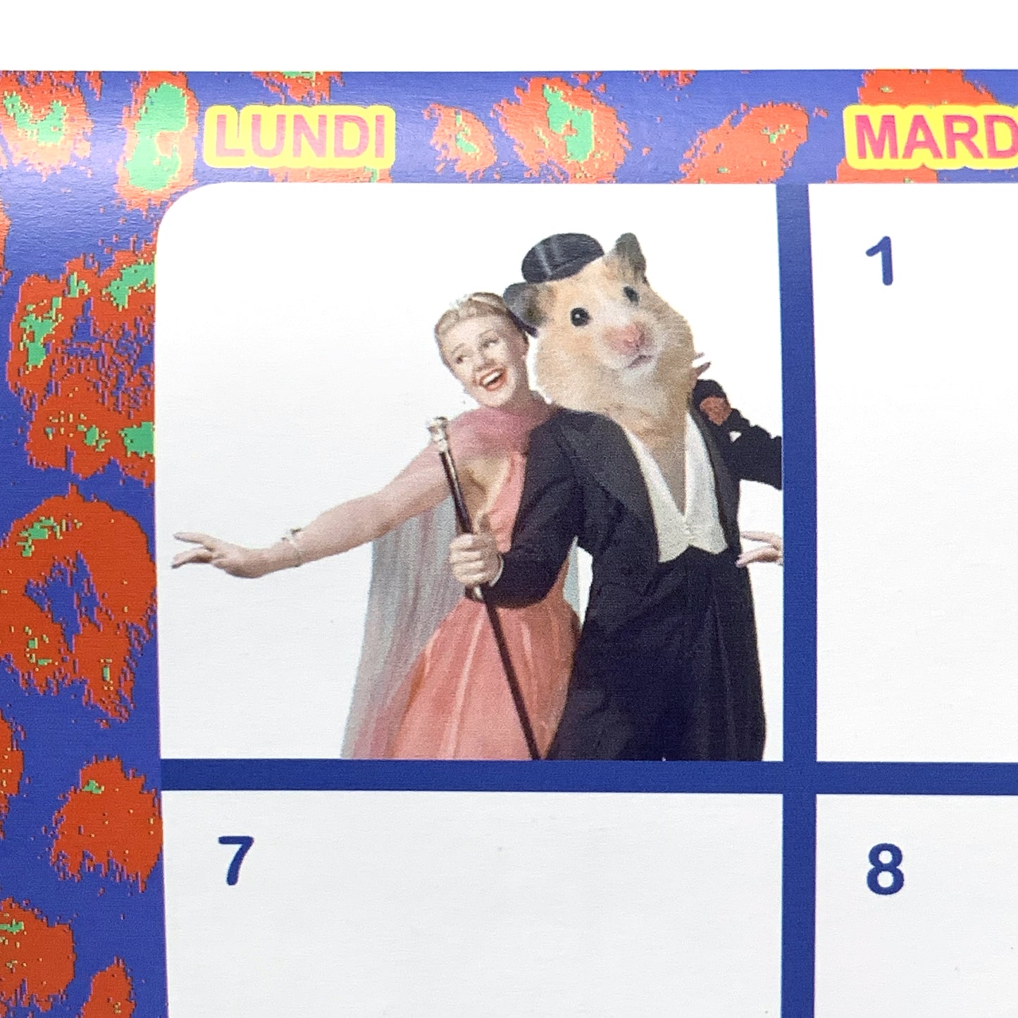 Calendrier 2026 - 365 JOURS SAUVAGES