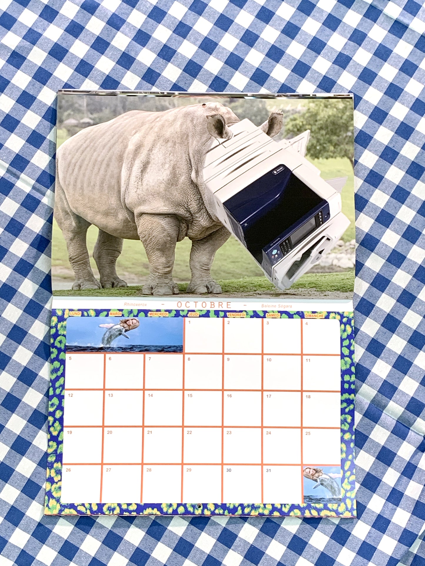 Calendrier 2026 - 365 JOURS SAUVAGES