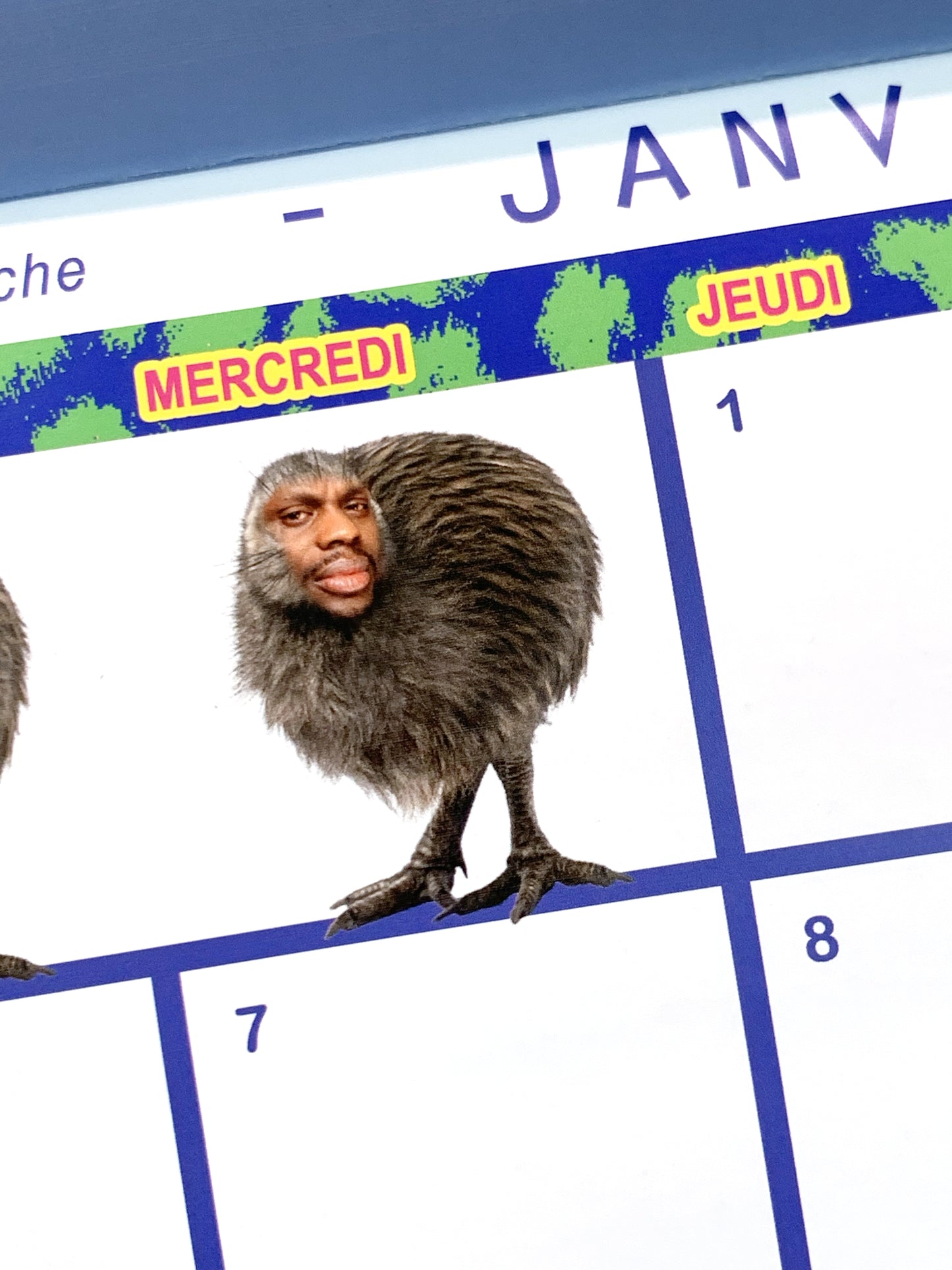 Calendrier 2026 - 365 JOURS SAUVAGES