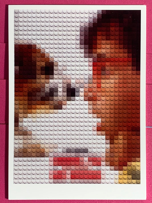 Chérie, j'ai rétréci LEGO