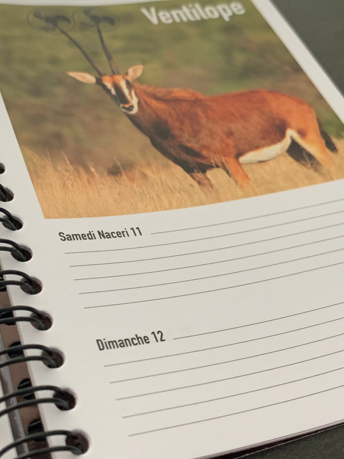 AGENDA 2025 2026 - Le dernier agenda avant la fin du monde