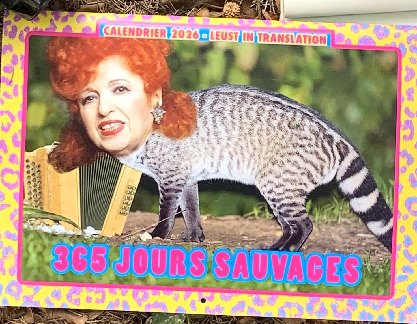 Calendrier 2026 - 365 JOURS SAUVAGES