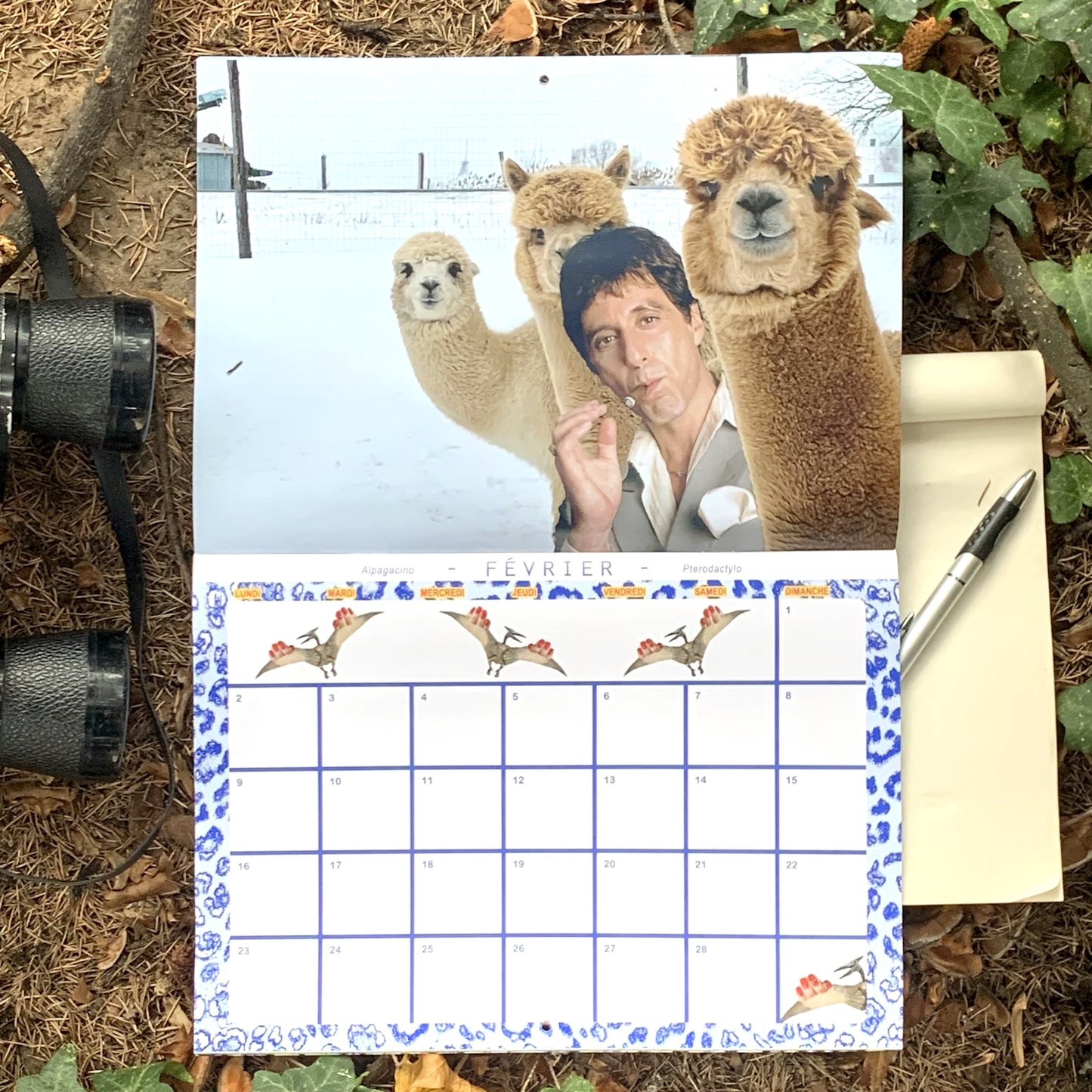 Calendrier 2026 - 365 JOURS SAUVAGES