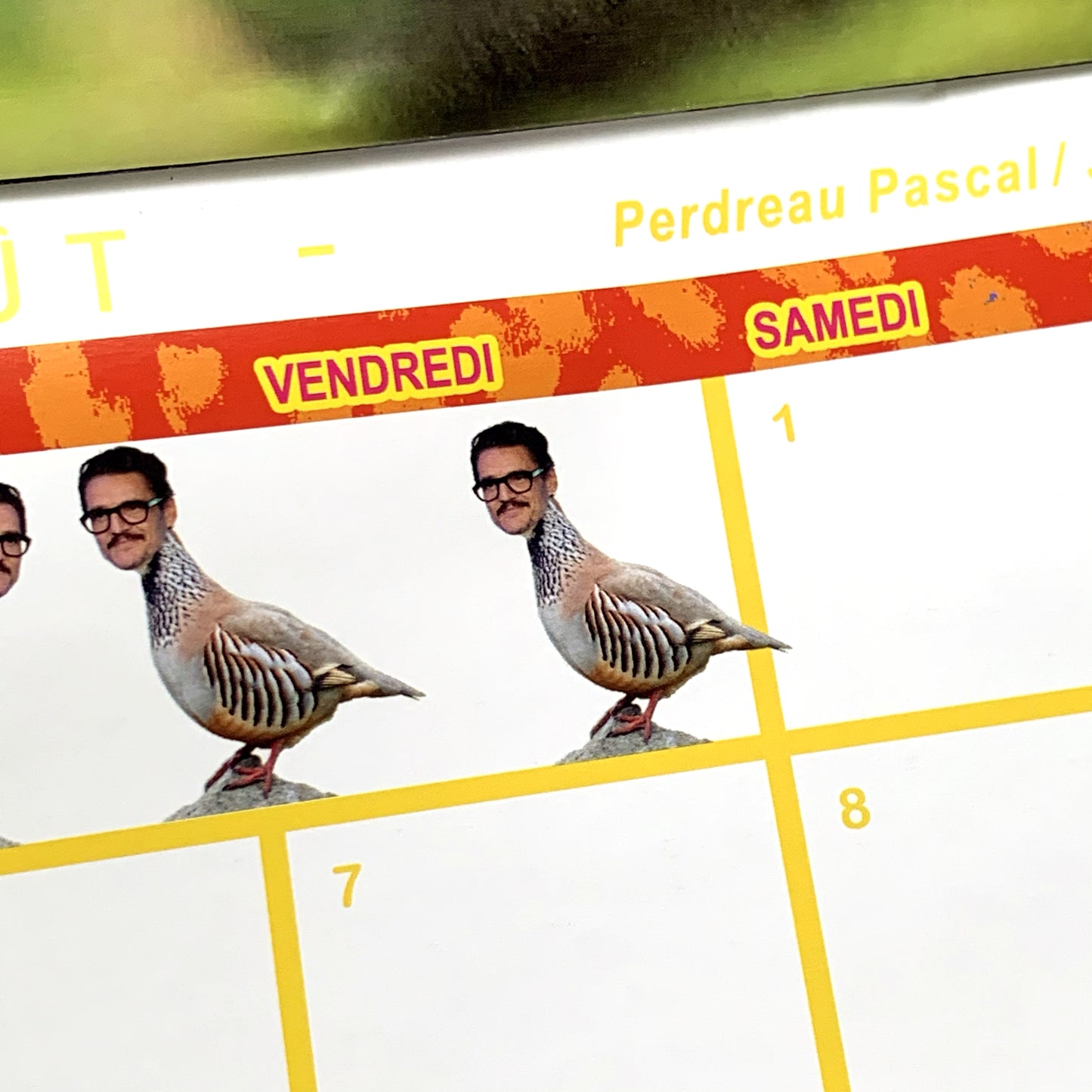 Calendrier 2026 - 365 JOURS SAUVAGES