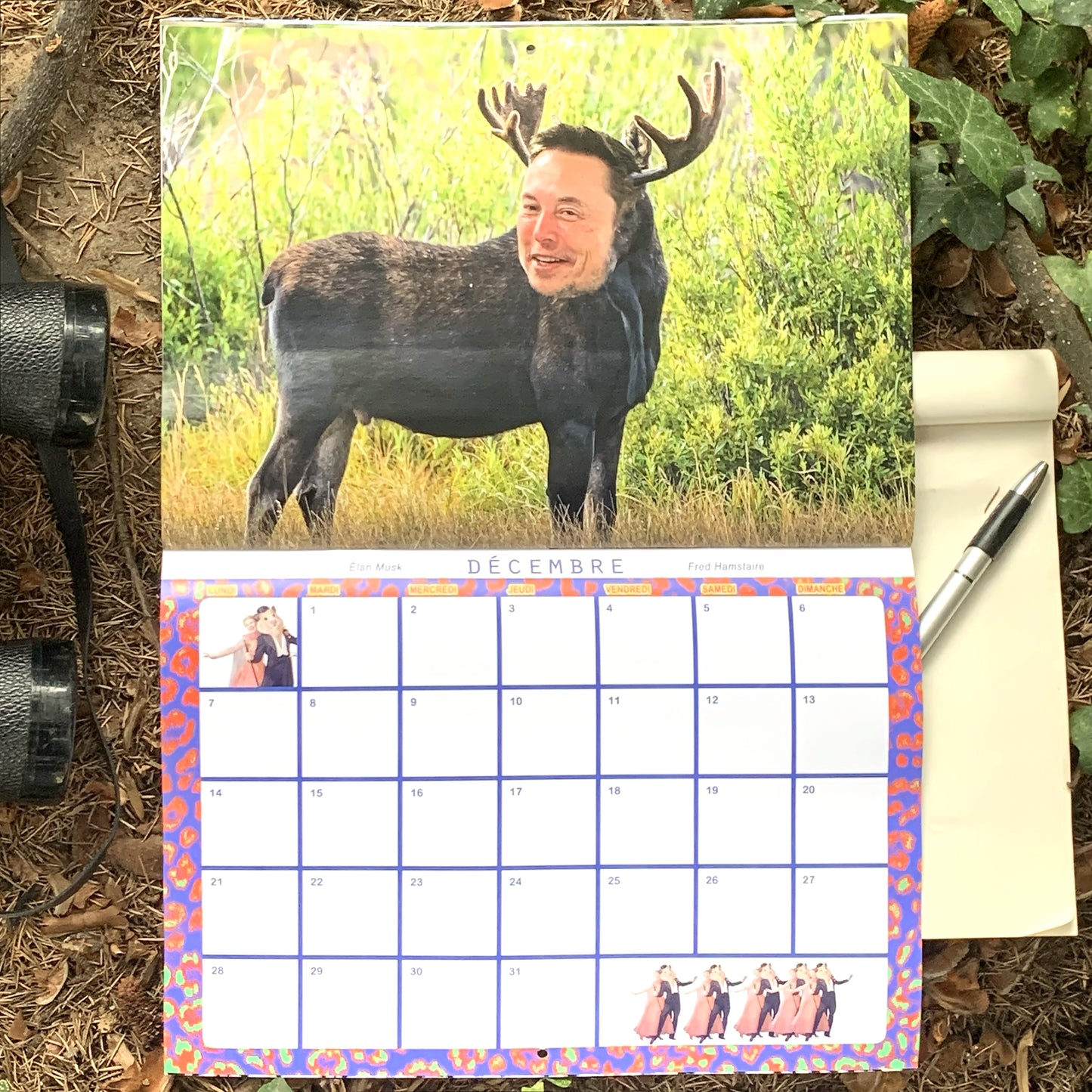 Calendrier 2026 - 365 JOURS SAUVAGES