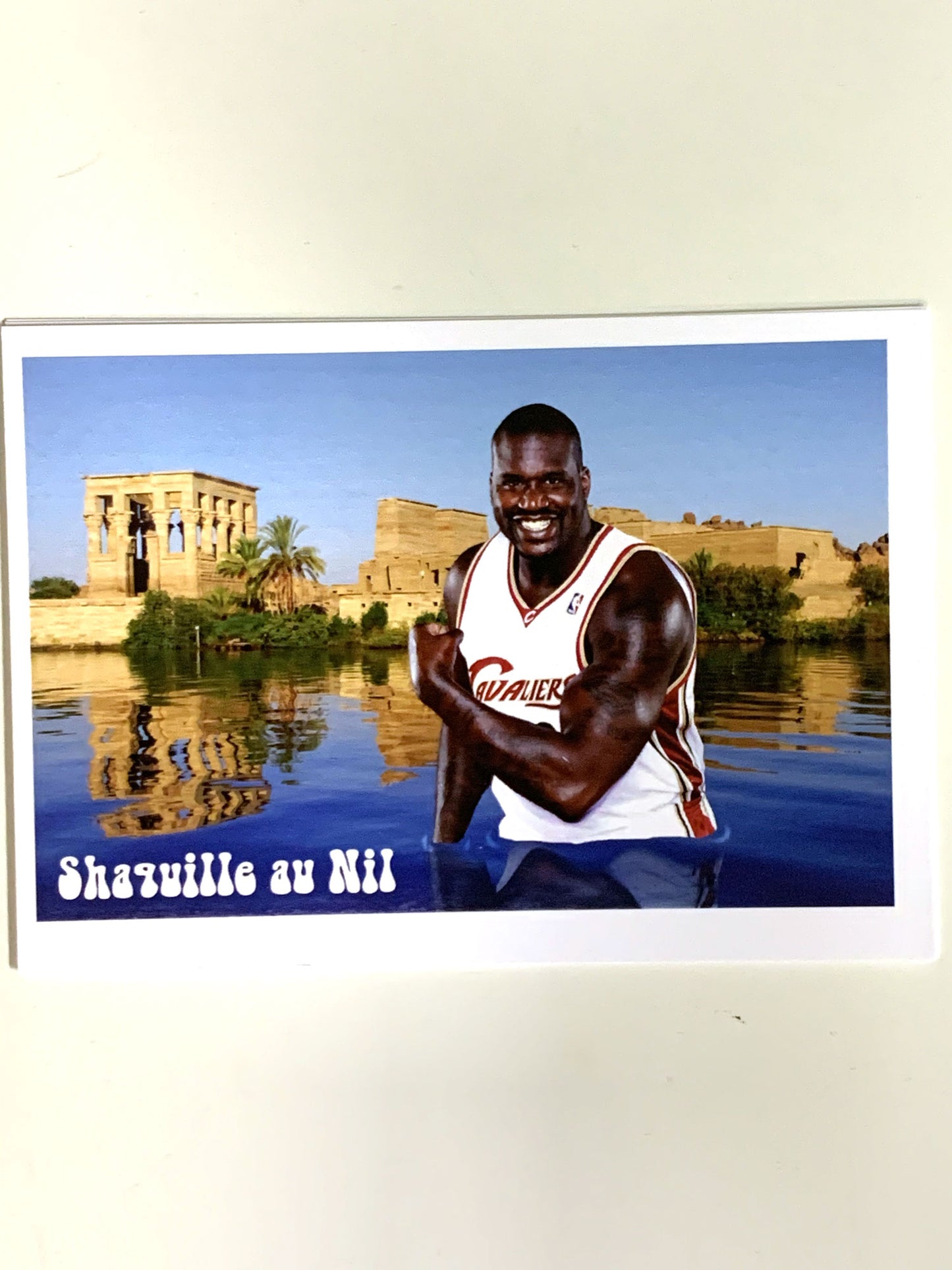 Shaquille au Nil